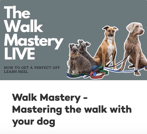 Promotional image for "The Walk Mastery LIVE" event featuring training tips for walking dogs, with a photo of three dogs sitting on leashes. Don’t miss out on our NO BS BUNDLE for straightforward advice and techniques!
